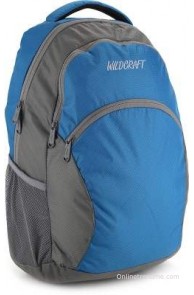 Wildcraft Ace 21 L Laptop Backpack(Blue, Size - 18)